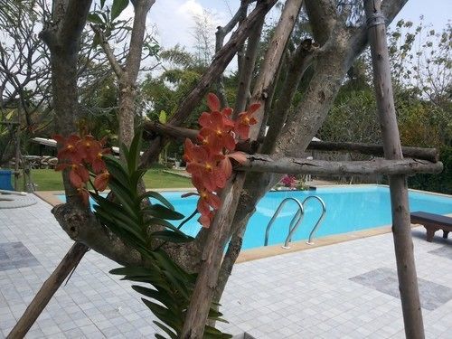 Kanvela Resort Kanchanaburi Bagian luar foto